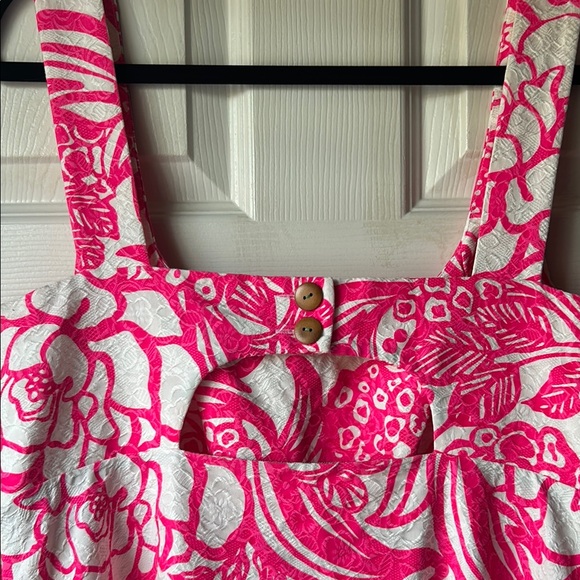 Anthropologie Vanessa Virginia Garden Party Dress - Picture 7 of 9